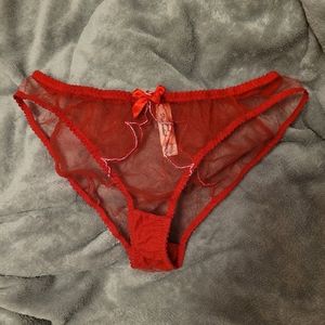 Agent Provocateur panty